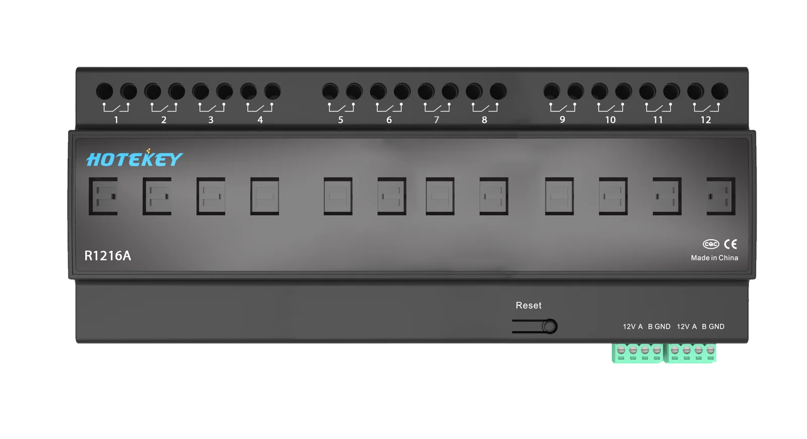 12-Channel 16A Relay Module